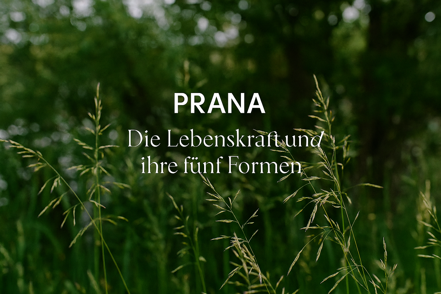 Prana – Die Lebenskraft und ihre fünf Formen
