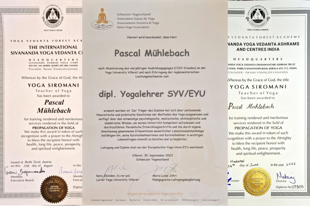 Über mich Pascal Mühlebach