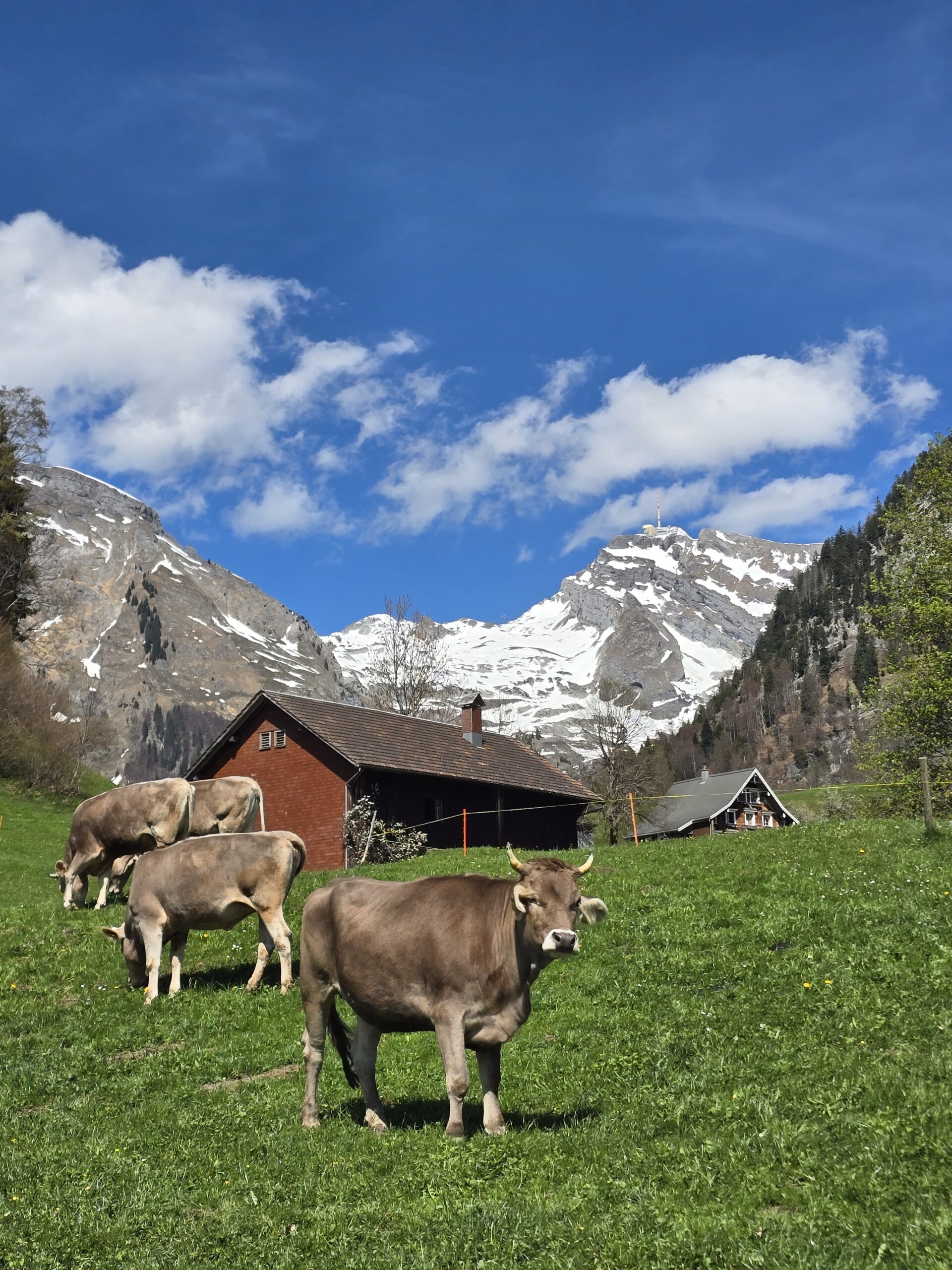Yoga Retreat Schweiz Toggenburg 